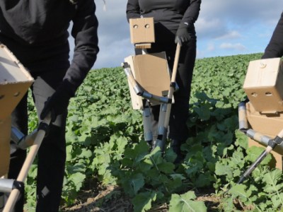 I am Come&nbsp;(2020)